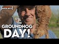 Mike Rowe: How to Catch A Prairie Dog (Without LOSING Your Face) | Somebody&#39;s Gotta Do It