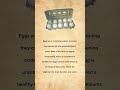 Learn to listen and read #story #english #egg #englishstory #nonabugis