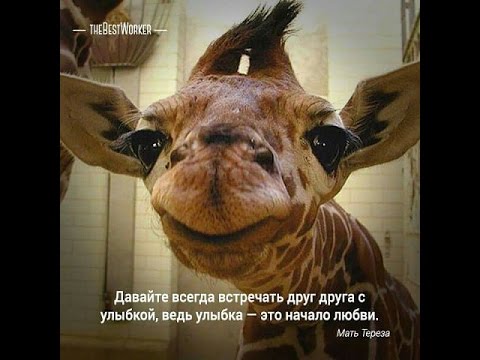 Игра для развития зрительной памяти у детей 4 5 лет Игра для развития зрительной памяти у детей 4 5 лет