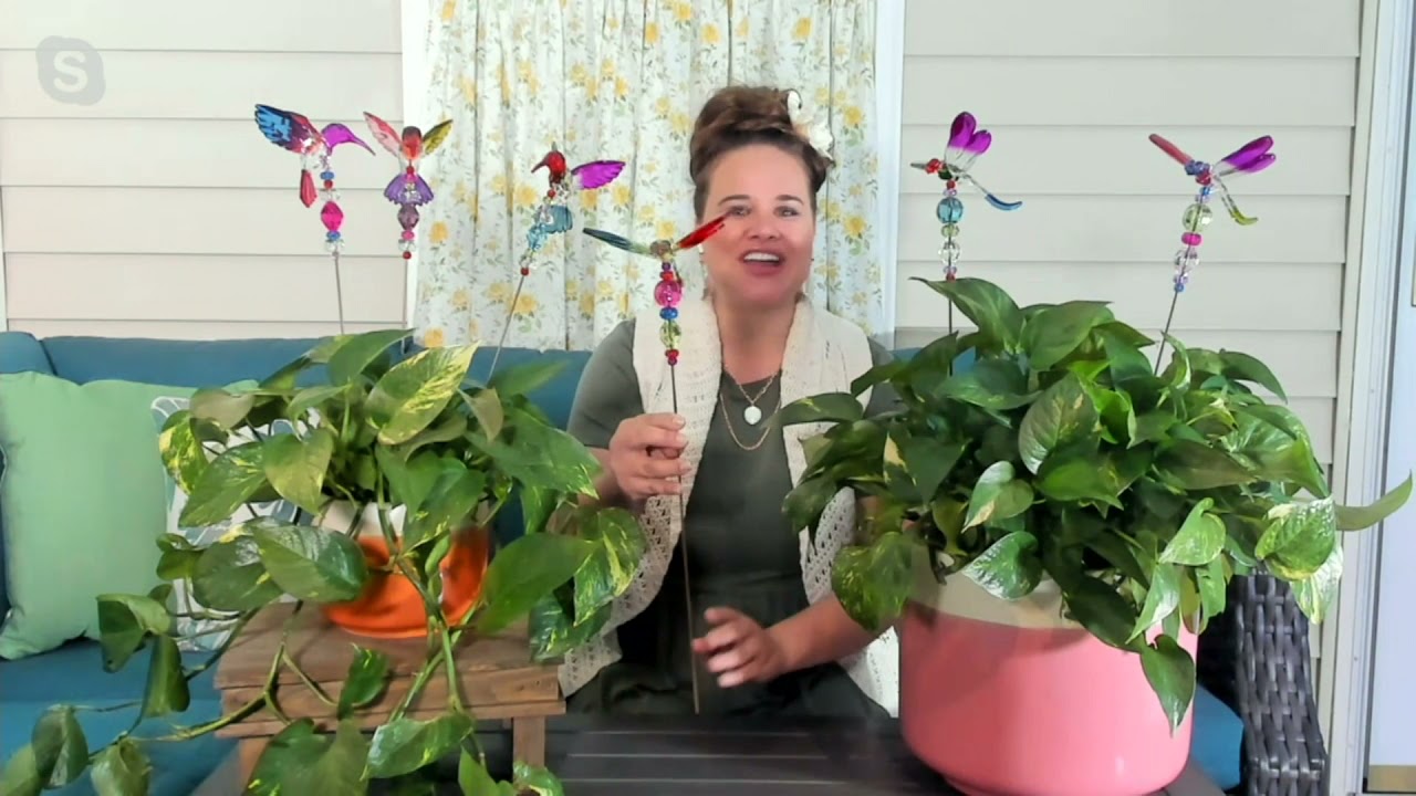 Marigold Set of 3 Decorative Garden Stakes on QVC