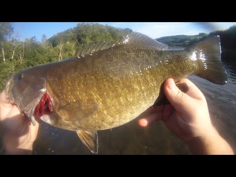 Doodling Tube Jigs for Summer Smallmouth Bass