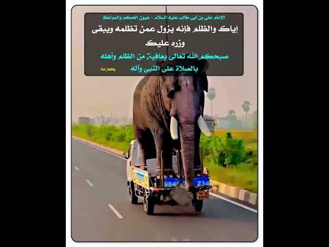 صباح الخير والبركة إياك والظلم فإنه يزول عمن تظلمه ويبقى وزره عليك الإمام علي بن أبي طالب ع