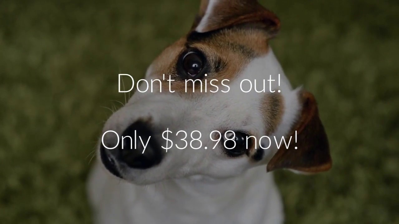 Goluk Smart Docking Station