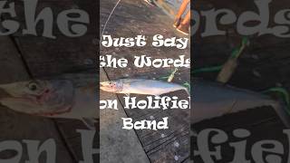#fishing MFV music dosing video Navarre Beach Fishing Pier Don Holifield band