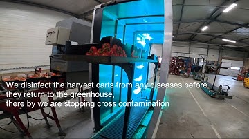 Cleanlight UV-c tunnel