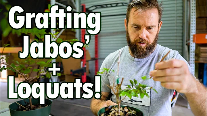 Unique Grafting Techniques w/ John Morton! Working...