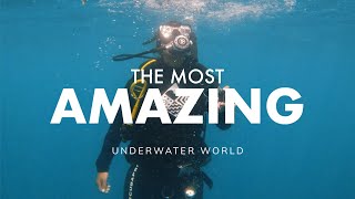 This Underwater World Is Over 5,000 Years Old | Presented by Visit Saudi