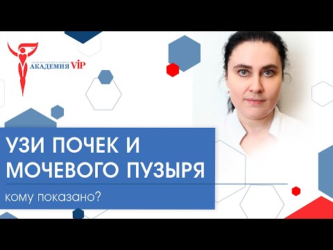 УЗИ почек и мочевого пузыря