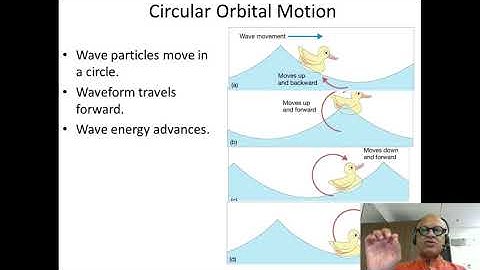 4   Orbital Wave Motion