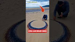 Crazy! Expensive art that blends with nature‼️ #shortsfeed #viral