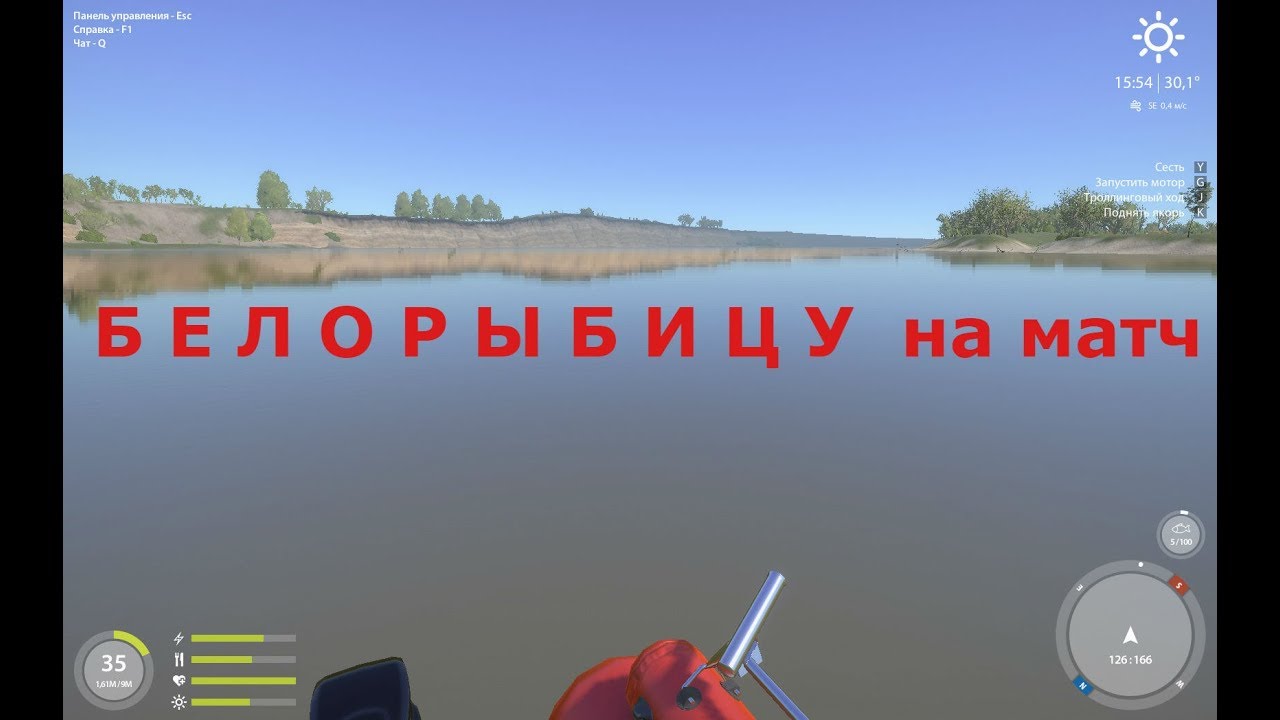 Белорыбица на волге