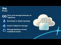 How to Manage Backups in the TallyDrive Management Report | TallyHelp