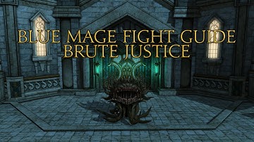 Blue Academy Raid Guide: Brute Justice (A8S)