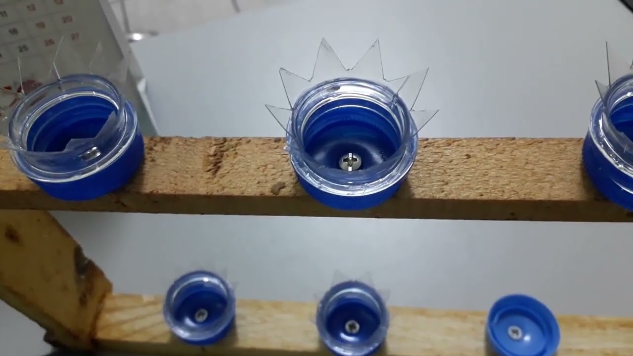 Kapak yöntemi ile ana arı üretme çıtası yaptık.