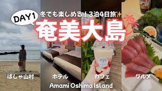 【3泊4日の旅🏝️】奄美大島へ国内旅行に行きました！！(ばしゃ山村・ホテル紹介・ビッグツーなど) / Amami Oshima Island #旅行