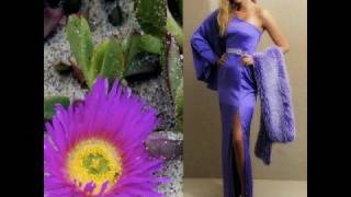 Wille Mitchell Designs- Spring 2009