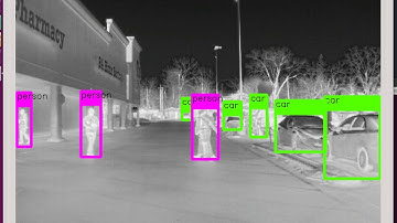 VSI Labs Thermal Camera Object Detection Test