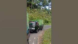 Viral mobil ikan Flores larantuka,lagi ngejar-ngejaran dari Ende ke larantuka 🚚👌💪🚚