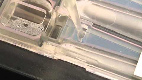 Tutorial: How to Load a Sample on Your Pippin Prep