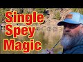 Crappy Single Spey?