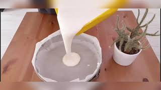 San Sebastian Cheesecake Tarifi Aşırı Lezzetli Ve Pratik