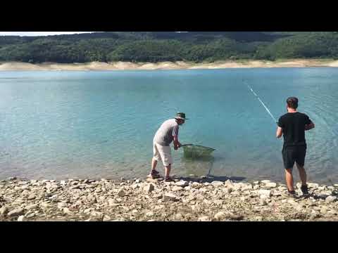 თევზაობა 2020