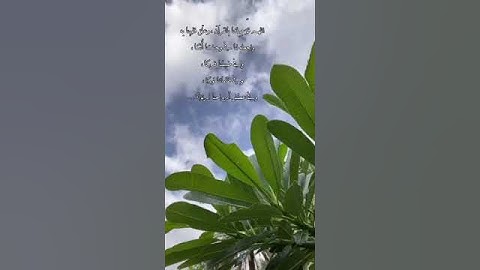 ( ولقد نعلمُ أنك يضيقُ صدرُكَ بما يقولون ) حالات واتس أب قرأن// راحة نفسية لا توصف//القارئ:أحمد خضر