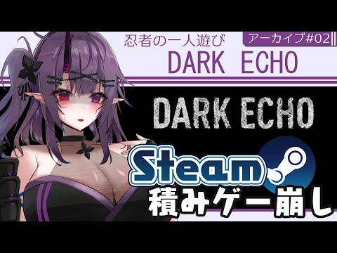 【Steam積み崩し】02:音を視るホラーゲーム「DARK ECHO」【暁月和音/VTuber】