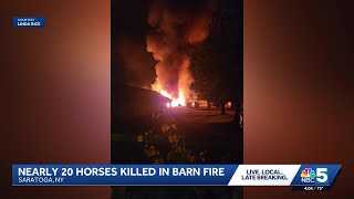 Fire at Saratoga Casino Hotel barn kills 17 horses