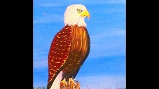 eagle paint easy acrylic bald beginners
