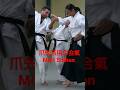 Mori Shihan「爪先活用の合氣」森師範 [ The Power of Aiki ] Aikido Yoshinkan Brisbane Dojo 合氣道養神館豪州道場
