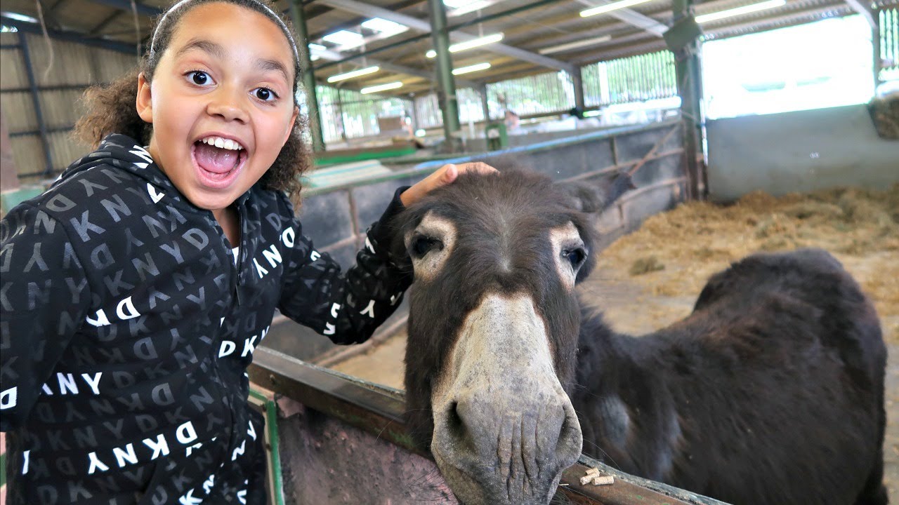 Kids Family Trip To The Farm Feeding Animals - Playground Kids Educational video