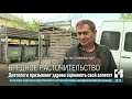 Тонны еды на свалку: в Кишинёве на Пасху ломились праздничные столы, а сейчас — мусорные контейнеры