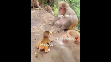#shorts #codinglife #coding #developer #programmerlife #comedyvideo #memes #shortsvideo #viral