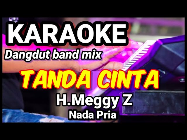 TANDA CINTA - H.Meggy Z | Karaoke dut band mix nada pria | Lirik class=