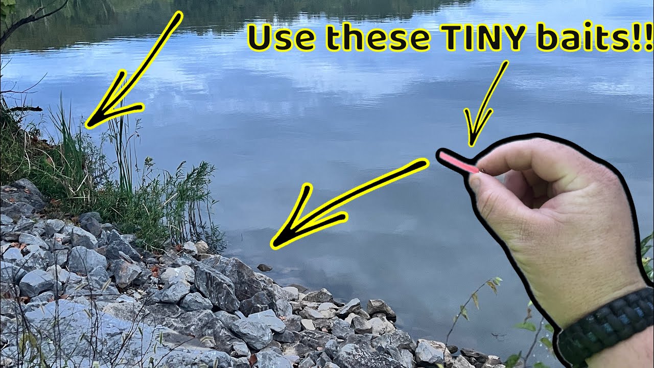 Small Lures, Small Fish