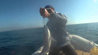 Pêche sportif en tunisie :)