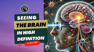 Seeing the Brain in High Definition: A Journey into Human Visual Processing with Shahin Nasr, PhD