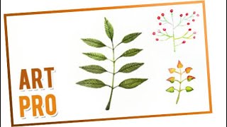 plants paint leaves watercolor flora