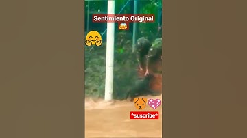 Thumbnail of 🐶🤗Sentimiento Original. #shorts #pets
