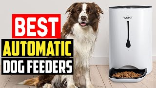 ✅Top 5 Best Automatic Dog Feeders in 2023