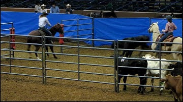Valley View Ranch - Sallys Dual Pep - sorting at Texas State Fair