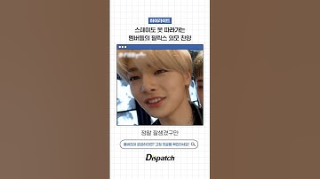 스테이도 못 따라가는 멤버들의 필릭스 외모 찬양 #스트레이키즈 #Straykids
