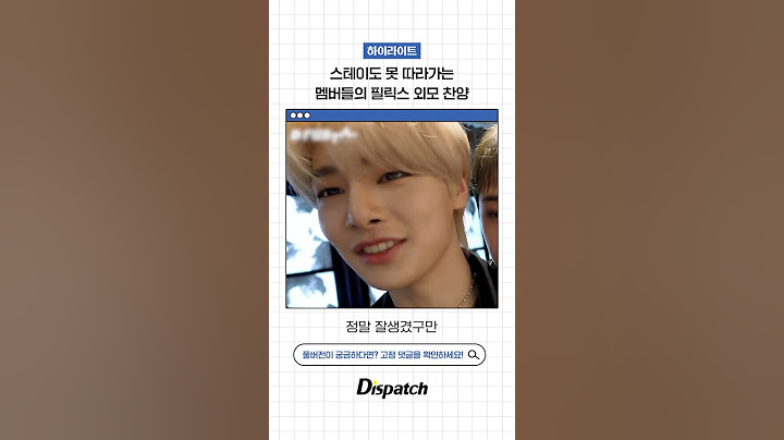 스테이도 못 따라가는 멤버들의 필릭스 외모 찬양 #스트레이키즈 #Straykids