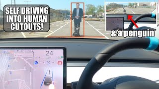 Will Tesla Autopilot STOP or CRASH into Jeremy Clarkson & a Penguin? | FSD HW3 Human & Animal Test