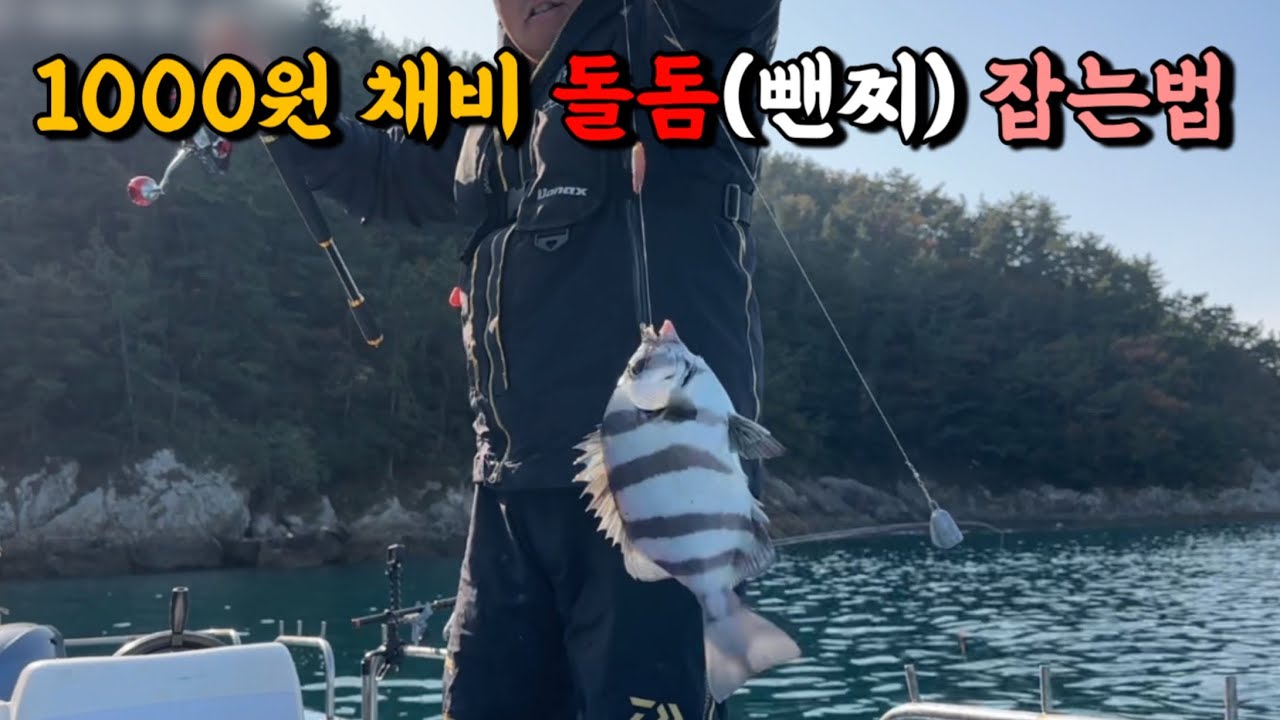 1000원 짜리 채비로 돌돔(뺀찌) 잡기!! - YouTube
