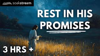 God Will Wipe Away Every Tear | Bible Verses To Heal You