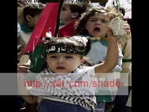 هجمو هجمو المسلمين