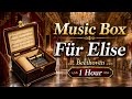 Music Box Beethoven Fur Elise 1 Hours 