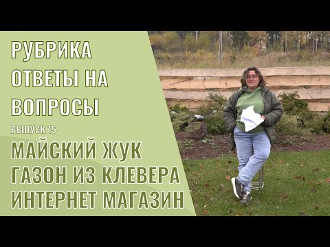 Видео: Обрезка остролиста: узнайте, как обрезать куст остролиста